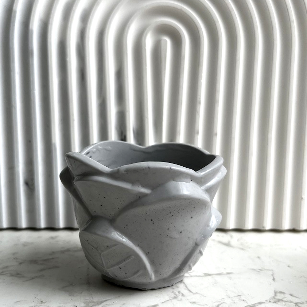 DIY Flower Shape Planter Silic - Potsticker Mold 评论和价格